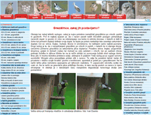 Tablet Screenshot of gnezdilnice.si